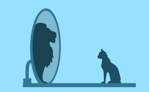 Cat standing in front of a mirror with lion reflection