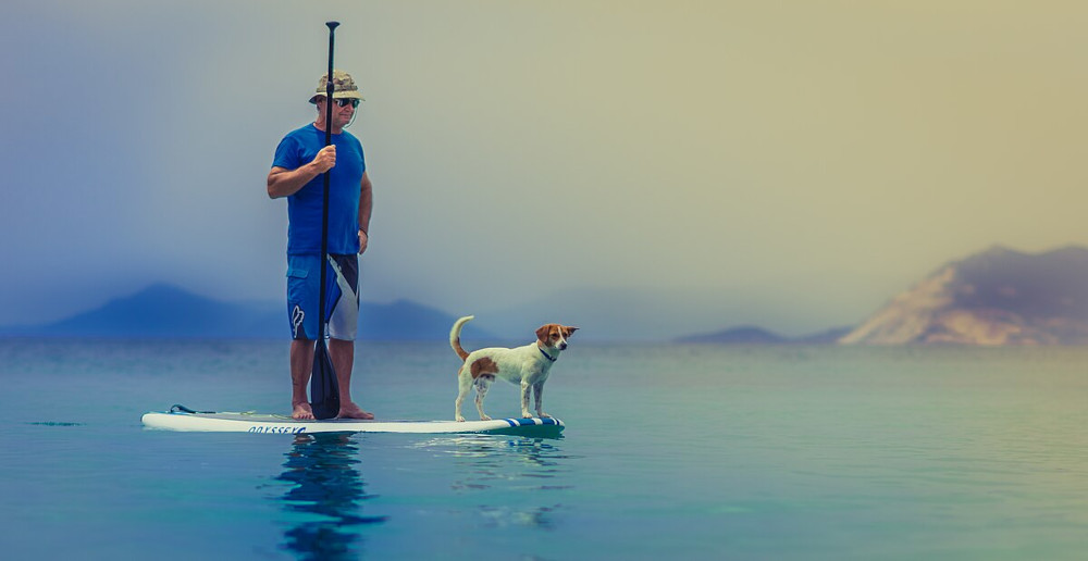 standup paddleboarding, man, dog. When you uncover your true passion. How to find your passion?